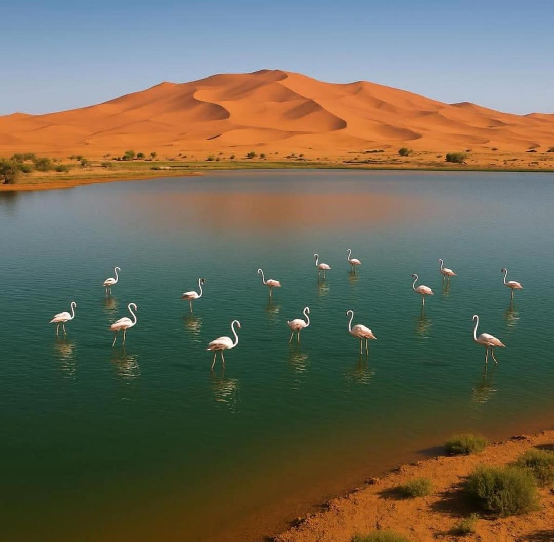 Salambo Tente Merzouga Esterno foto